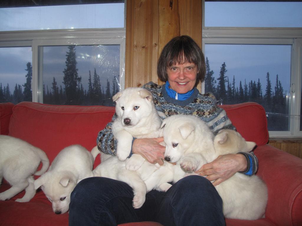 Arctic Chalet Resort Inuvik 外观 照片